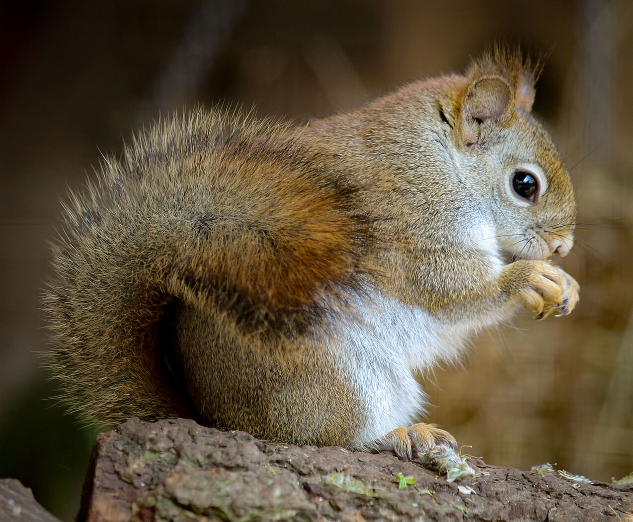 Contact Us - Axe Valley Wildlife Park